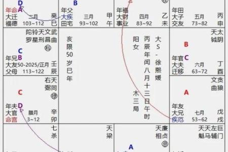 紫薇斗数断时辰