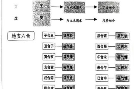 易经详解八字地支相合之六合局