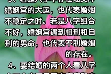 你知道八字婚姻点数的意义吗