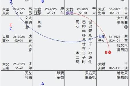 命宫紫薇斗数天巫