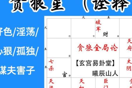 钦天门紫微斗数 斗数基础第20讲 贪狼（一）