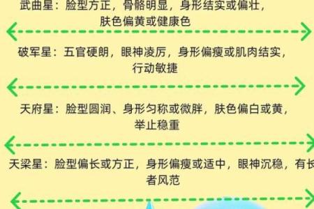 紫微斗数之紫微星坐命宫，是什么意思？