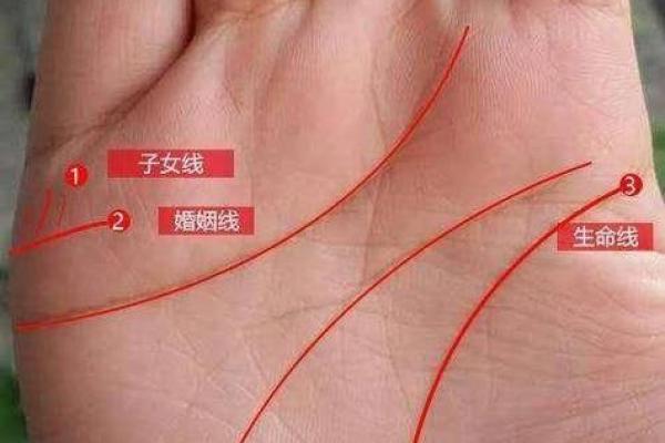 生命线上有三角纹是好兆头吗手相风水