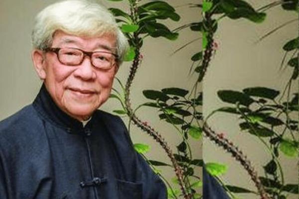 名人紫薇斗数赏析