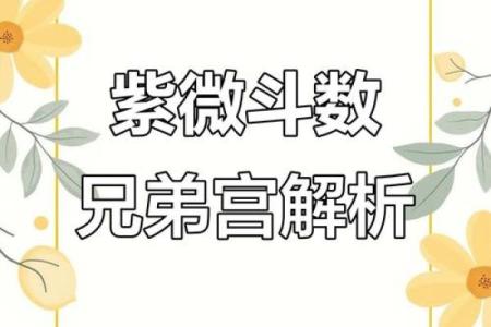 紫薇斗数联系群