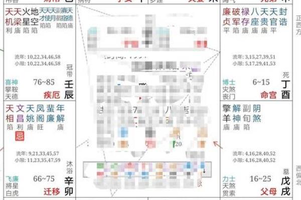 紫薇斗数对冲忌