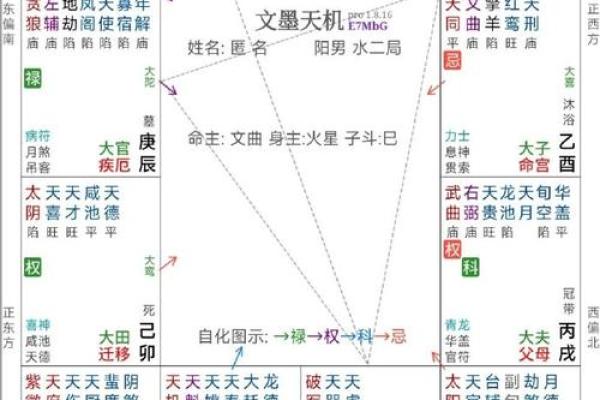 紫薇斗数大子女