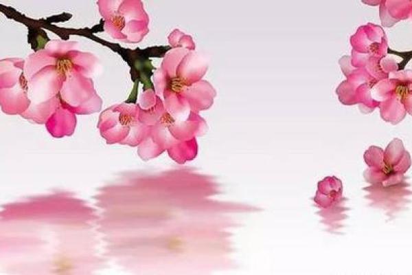 八字中最厉害的桃花有哪些呢