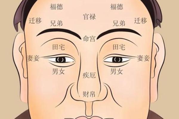 你的五官里，藏着你一生的风水
