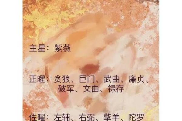 紫薇斗数主星性质：廉贞，天府，贪狼，巨门