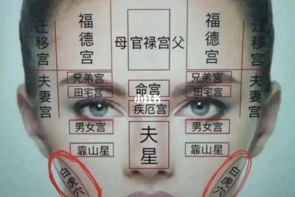 风水面相女人鼻头大到底好不好