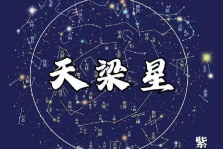 紫薇斗数福德宫火星
