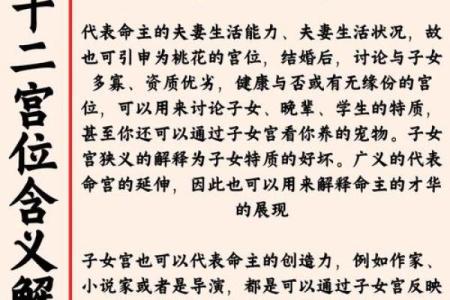 紫薇斗数大子女