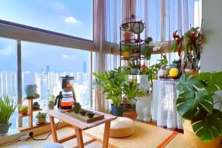风水：住宅纳气之地，阳台风水的三宜和六忌！