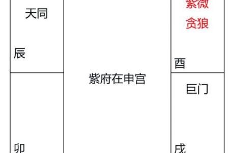 紫薇斗数命四化流年