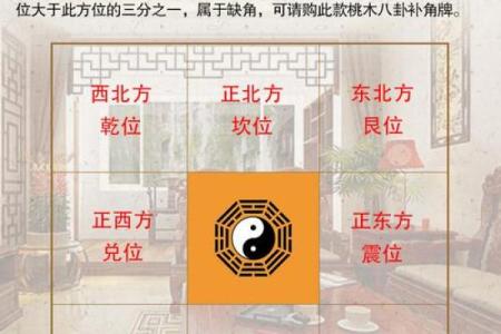 桃木不适合哪些人解释风水观点