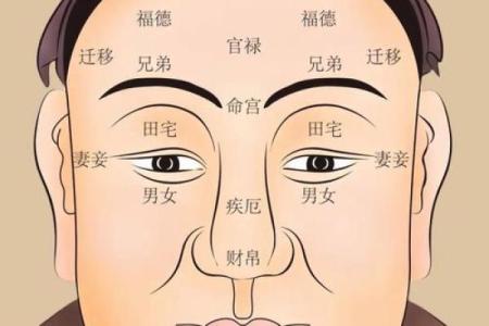 你的五官里，藏着你一生的风水