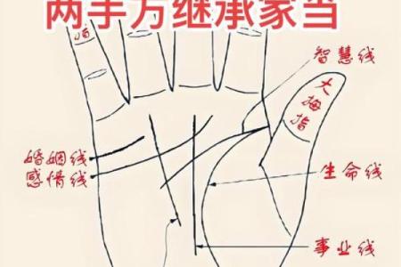 手相算命的基本原则