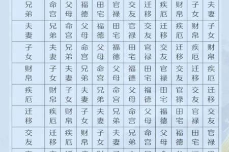 紫微斗数长情 紫微斗数另一半长相？