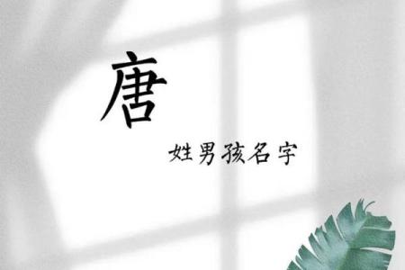 姓唐按生辰八字来起名