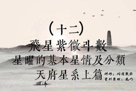 紫薇斗数星耀太多