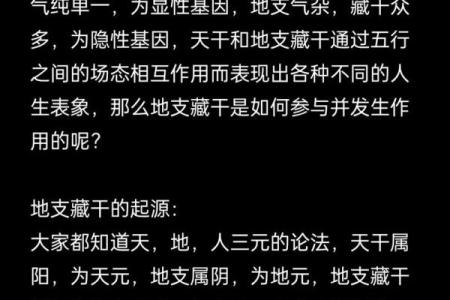 四柱八字中地支藏干如何运用