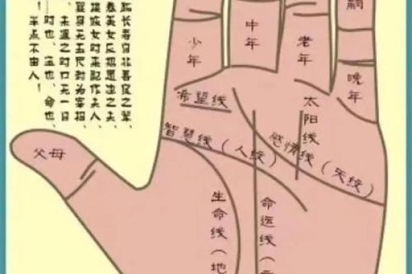 女手相算命图解