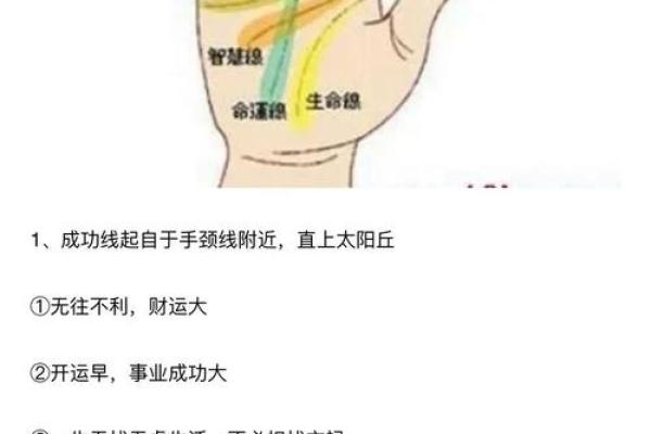 女手相算命图解