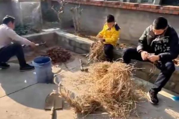 卖柴小伙算命视频