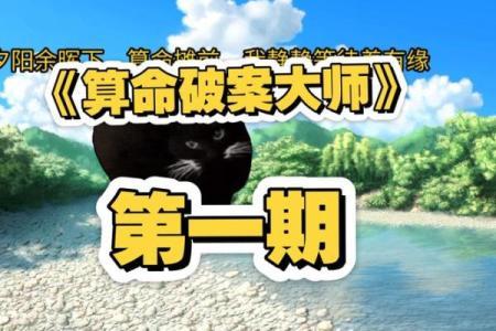 算命记录片之一集