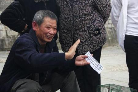 算命扎根是什么