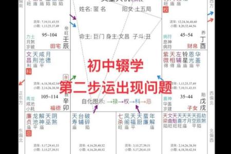 八字和紫微斗数