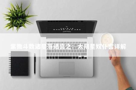 紫微斗数诸星落诸宫之：太阴星奴仆宫详解