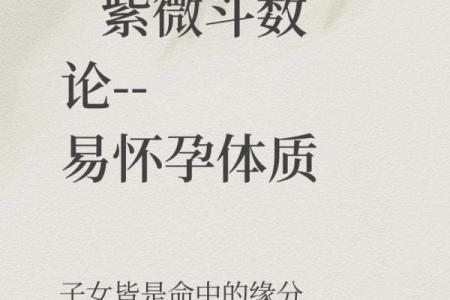 紫薇斗数怎么看怀孕时间