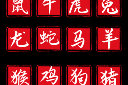 合八字算婚姻 属牛和属猪适合做夫妻吗