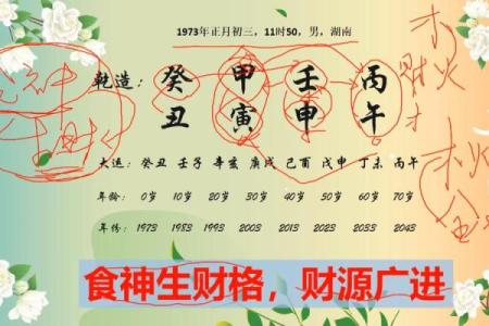 八字中的食神格是什么意思？