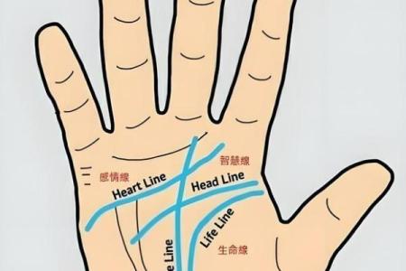 指纹算命图谱