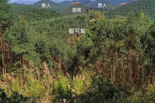 风水学：怎样知道祖坟风水好坏