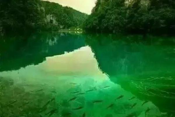 手机号风水查询