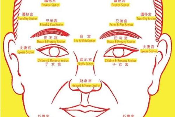 眼相算命图解大全