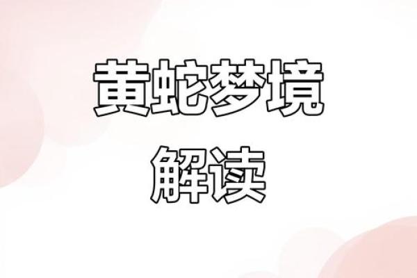 梦见房子风水不好有蛇