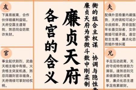 紫微斗数疾厄宫太阴化禄