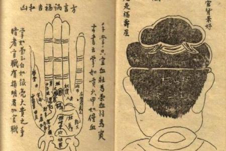 从人的腿部看相算命