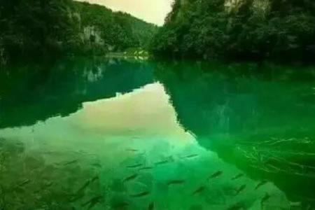 手机号风水查询