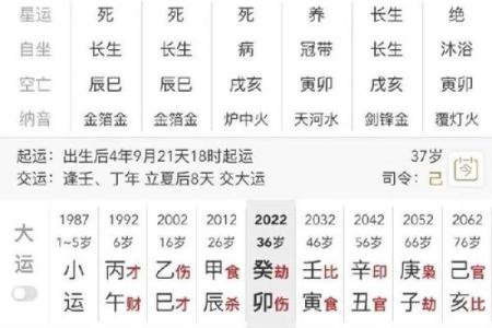 八字财代表啥命