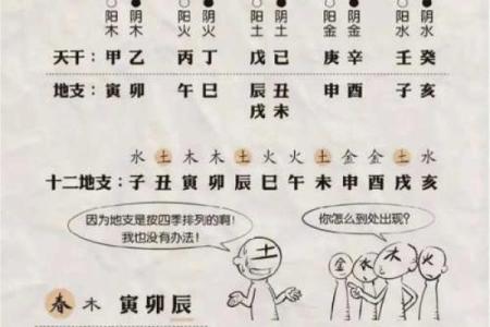 八字命理测算中天干的作用
