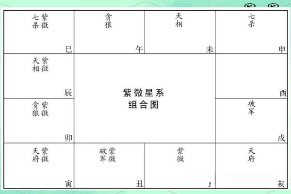 紫微斗数化忌在十二宫详解,十二宫中化忌的影响