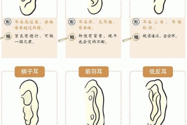 耳朵算命耳朵看运势大全,耳朵命运图解
