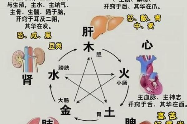 如何风水_一命二运三风水