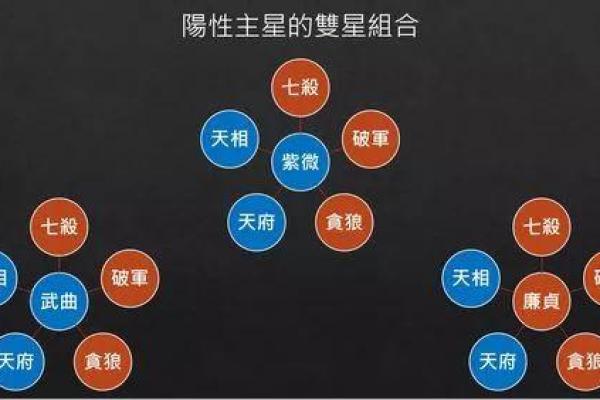 紫薇斗数四化与星组合